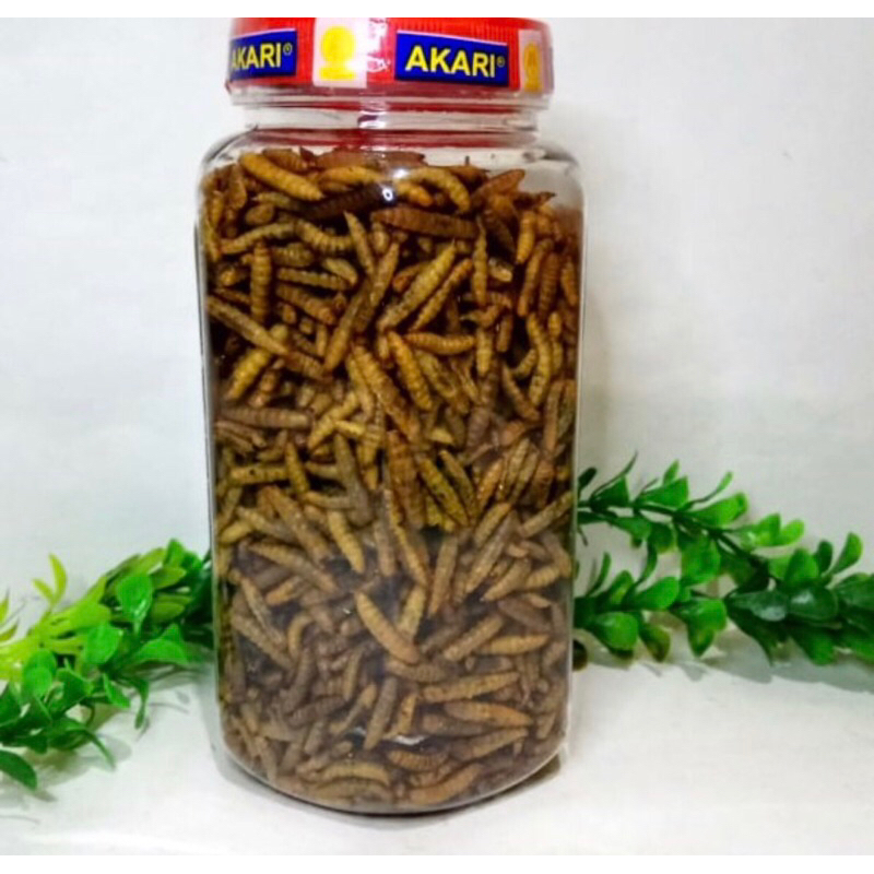 AKARI MAGGOT PRO 40GR 130GR MAKANAN OSCAR CHANNA DAN PREDATOR