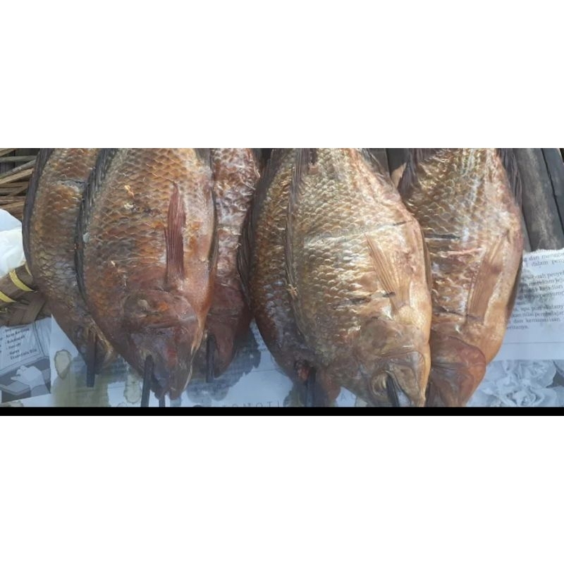 

IKAN ASAPAN