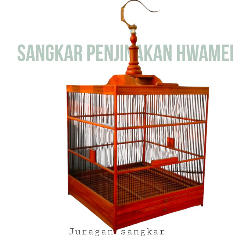 SANGKAR KANDANG PENJINAKAN WAMBI HWAMEI RAPET