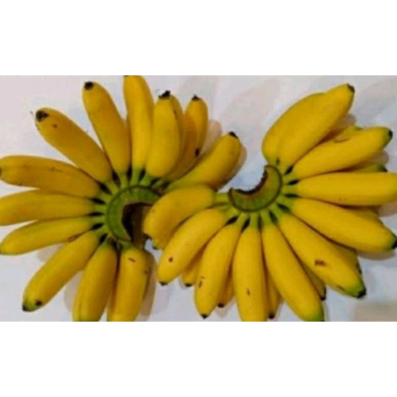 

pisang barlin per 1 sisir