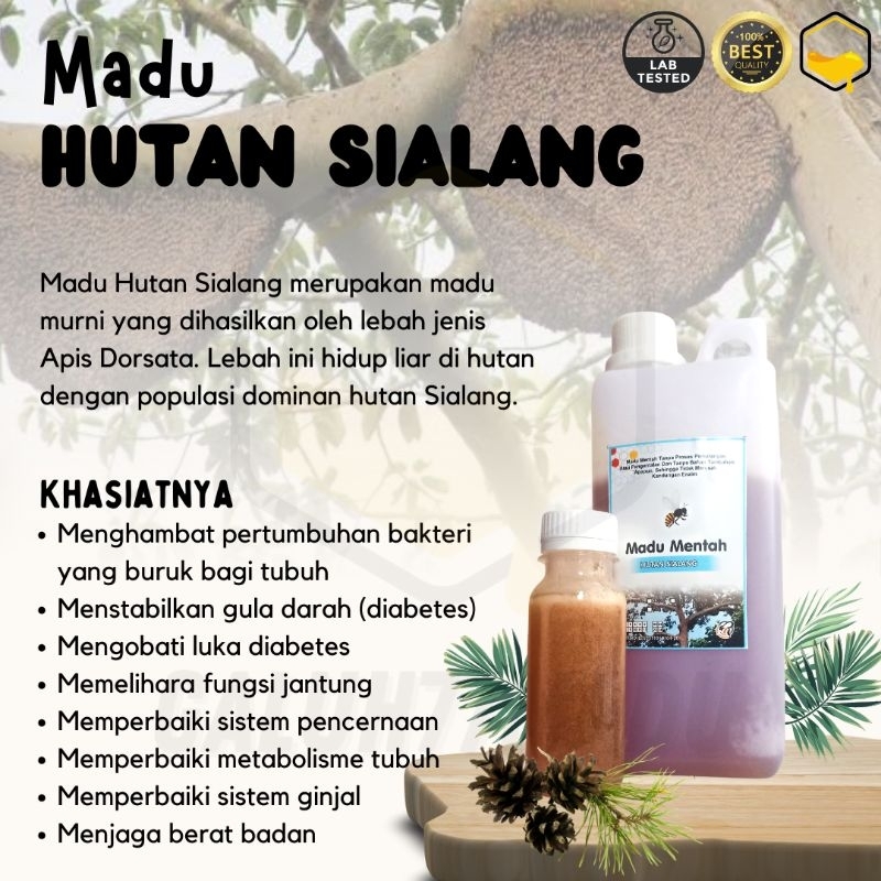 

[Raw Honey] Madu Hutan Premium 1kg