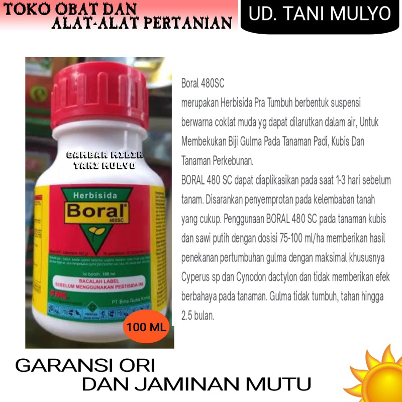 BORAL 480 SC 100 ML