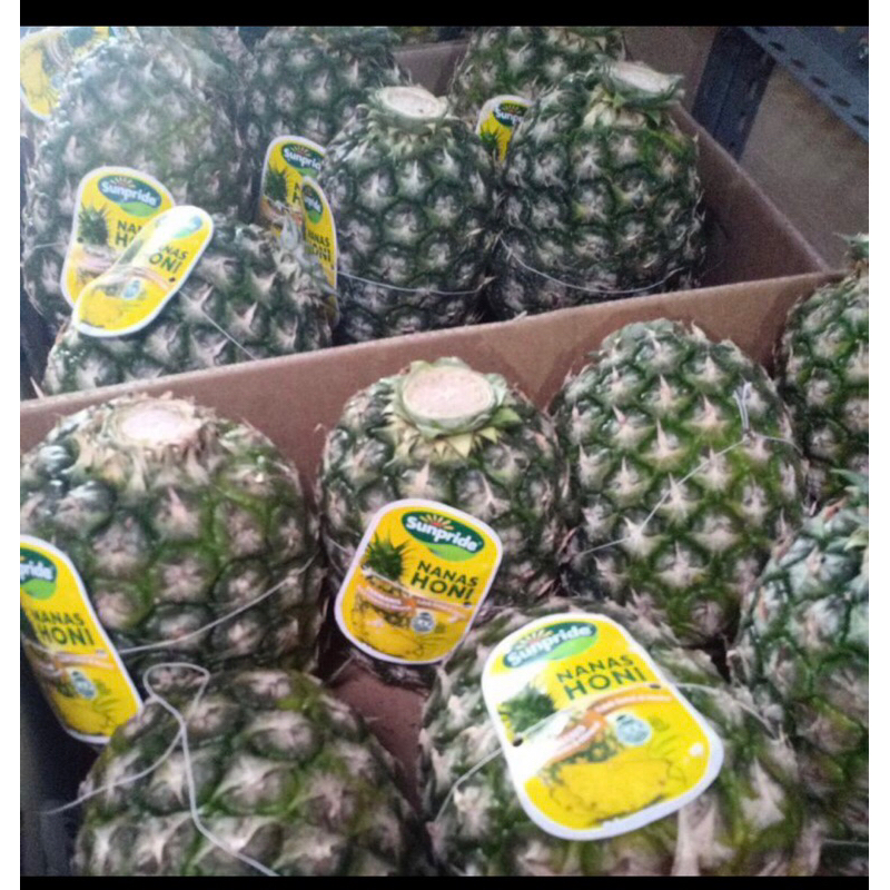 

Nanas Sunpride Honi Ukuran Besar / Buah