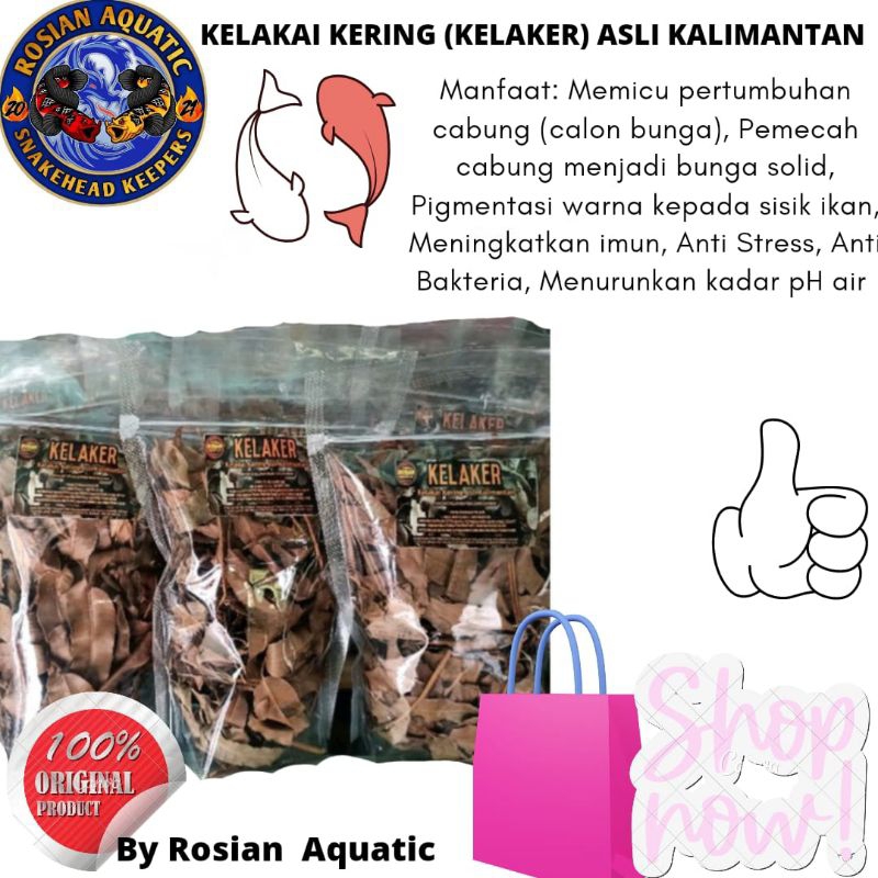 kelakai kering (kelaker) ASLI KALIMANTAN