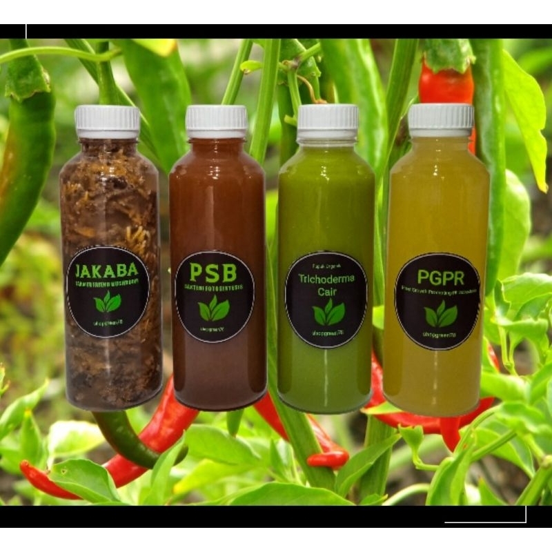 jakaba biang+Trichoderma+psb biang+pgpr paket super organik