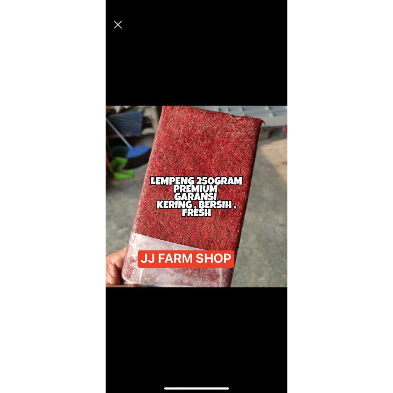 cacing beku lempeng 1kg 4pcs segar merah garansi segar terbaik