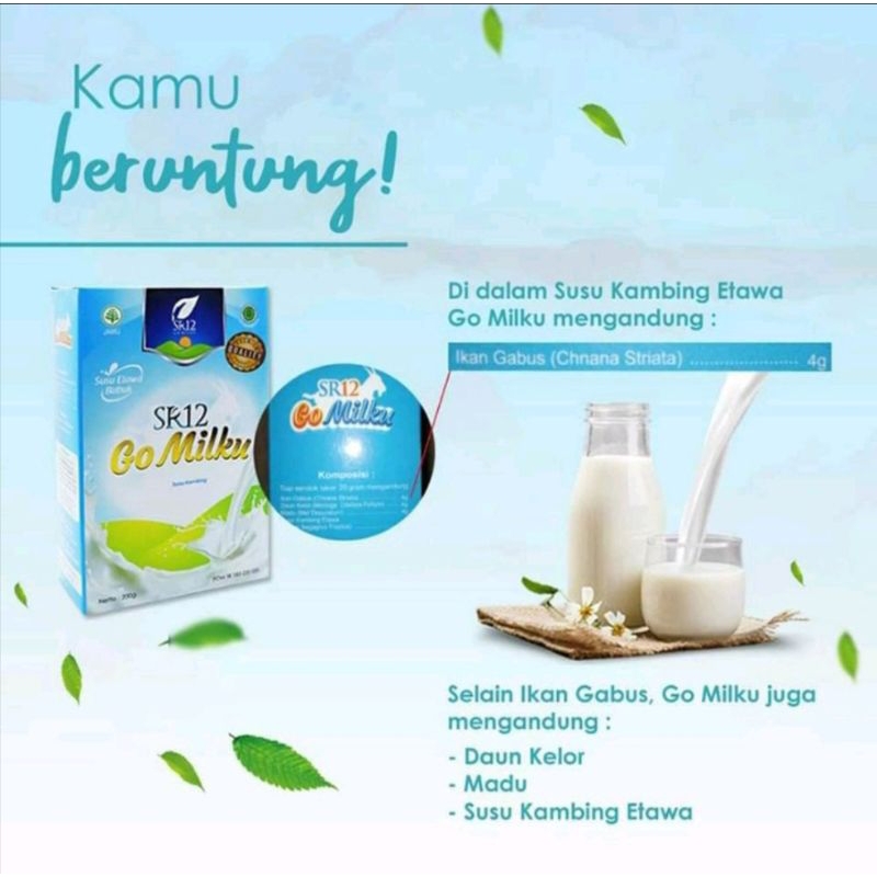 SUSU GO MILKU SR12 / Susu Kambing Etawa Bubuk Original BPOM