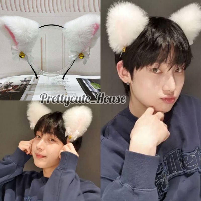 BANDO KUCING NEKOMIMI ENHYPEN VIRAL TIKTOK