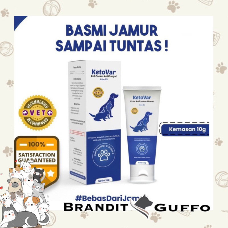 ketovar anti jamur kucing anjing perawatan bulu anti fungal krim salep cream