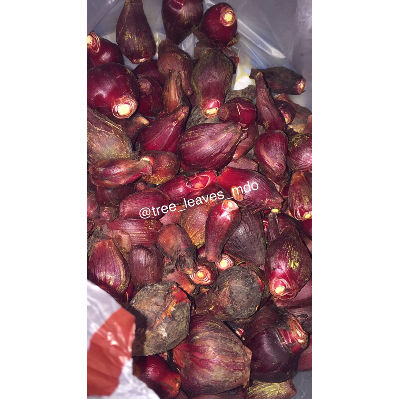 bawang dayak 1kg