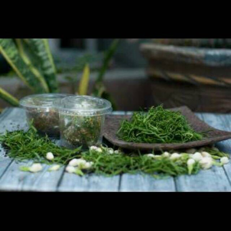 

Ramping pandan rempah tsabita pekalongan / ramping arab / ramping pandan/