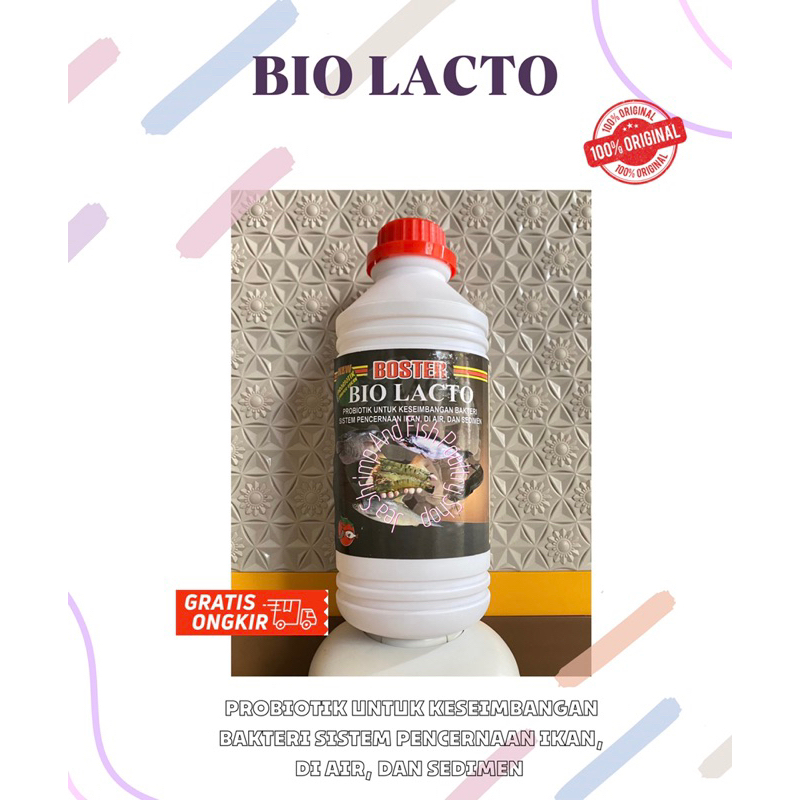 BOSTER BIOLACTO 1L, BIOLACTO lactobacillus BOSTER