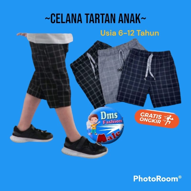 Celana Pendek Anak Tartan Cowok Laki Laki Usia 5 6 7 8 9 10 11 12 13 14 Tahun | Celpen Motif Kotak S