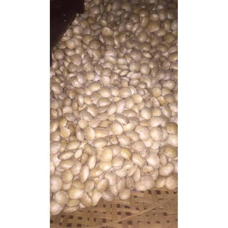 Kacang Sacha inchi putih kacang inka kacang gunung 500 gram