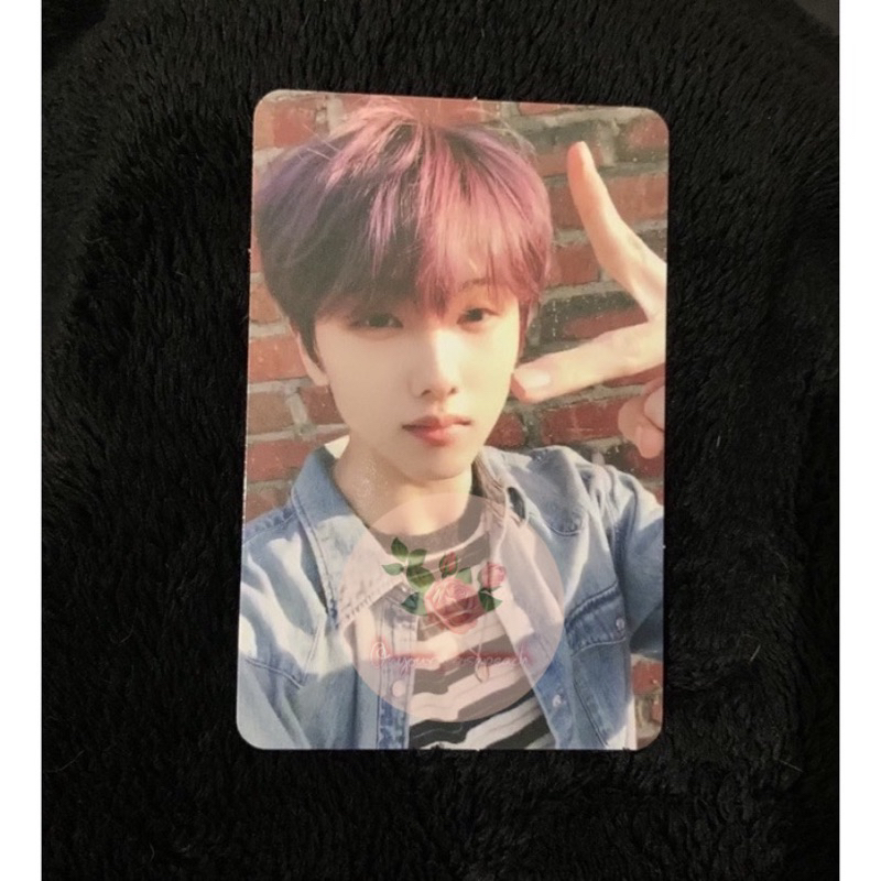 pc photocard official ar selca jisung jewel case hot sauce