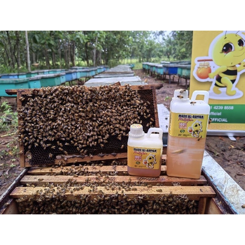 Madu Murni Raw Honey 1kg - Madu Asli | Madu Al rayyan