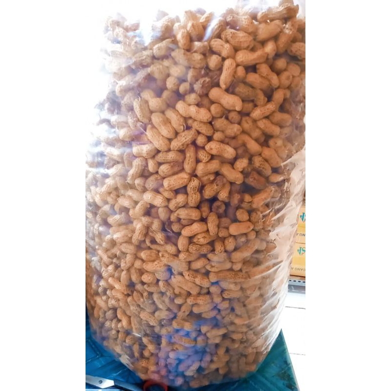 

kacang kulit sangrai 1000gr