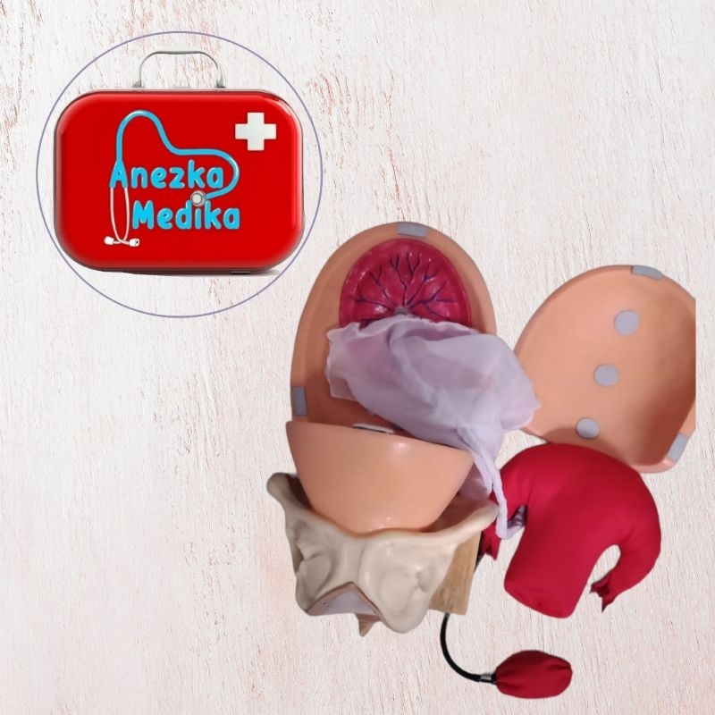 PHANTOM / MANEKIN / MANIKIN KOMPRESI BE MANUAL / KBI KBE