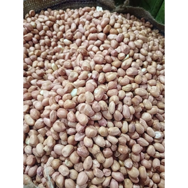 

Kacang Tanah India Besar 50/60 Kemasan 1 kg