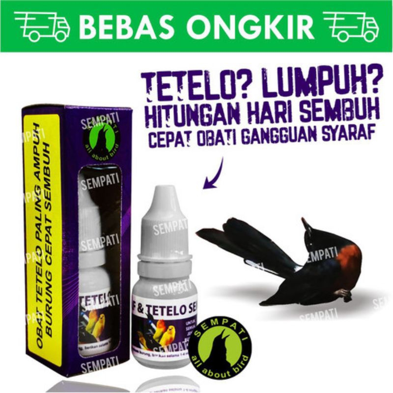 OBAT BURUNG SAKIT TETELO SARAF AYAN LUMPUH SEMPATI