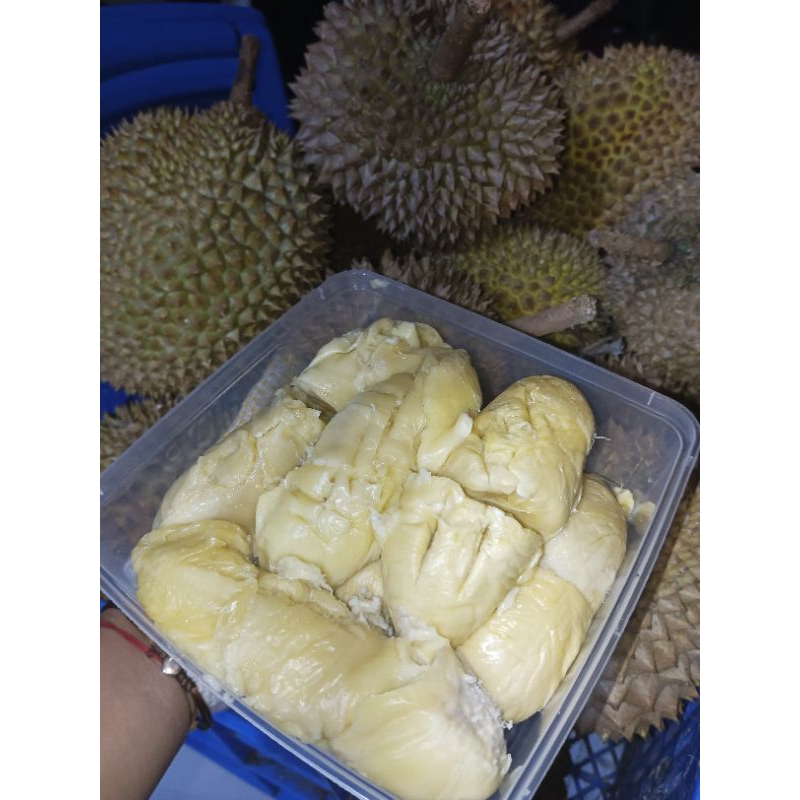 

Durian Musangking Lokal