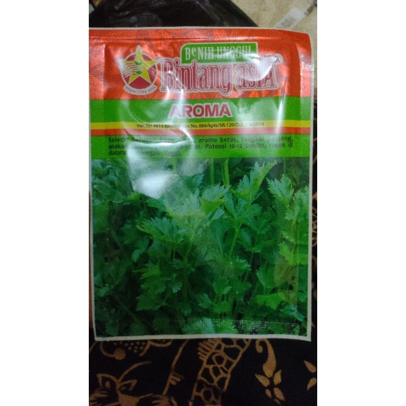 Benih Bibit Seledri Aroma 20 gram Bintang Asia