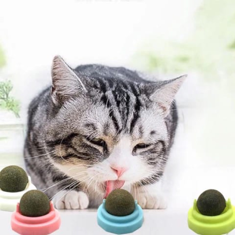 CATNIP rotating ball tempel mainan snack kucing kitten cat