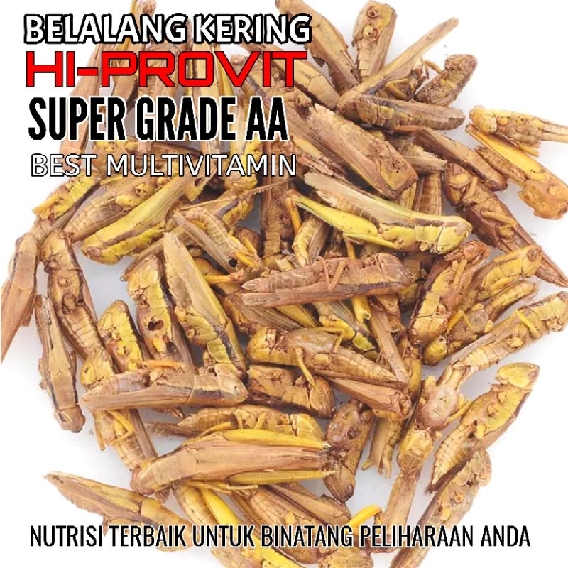 Pakan Ikan,Gecko,S Glider,Murai Protein Tinggi Hi-Provit