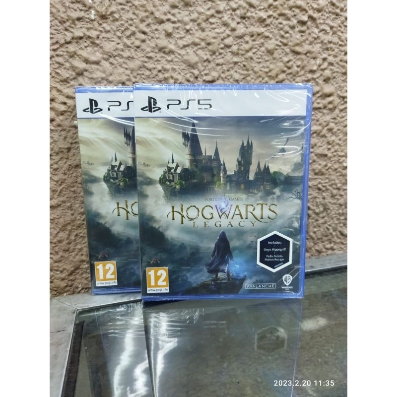 PS5 Hogwarts Legacy