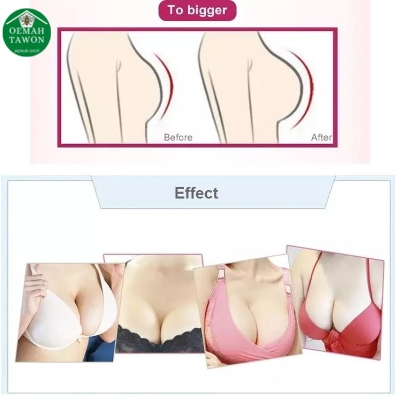 Hanimun Breast Cream Pembesar dan Pengencang Payudara