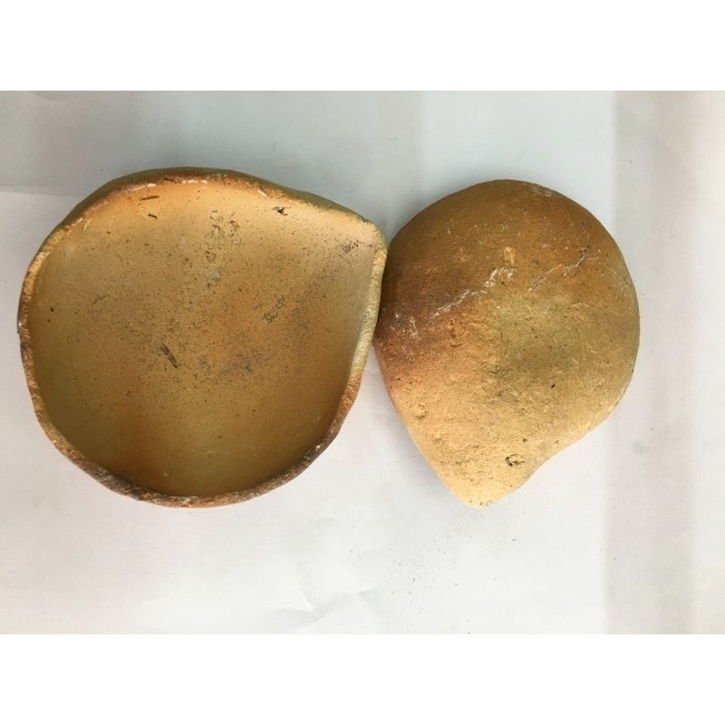 Kowi Padang Lebur Emas Kuat Tahan Lama