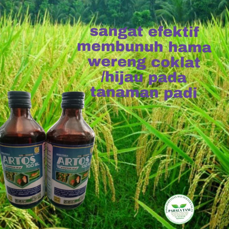 ARTOS 100sl/hama wereng/pembasmi wereng coklat/300ml