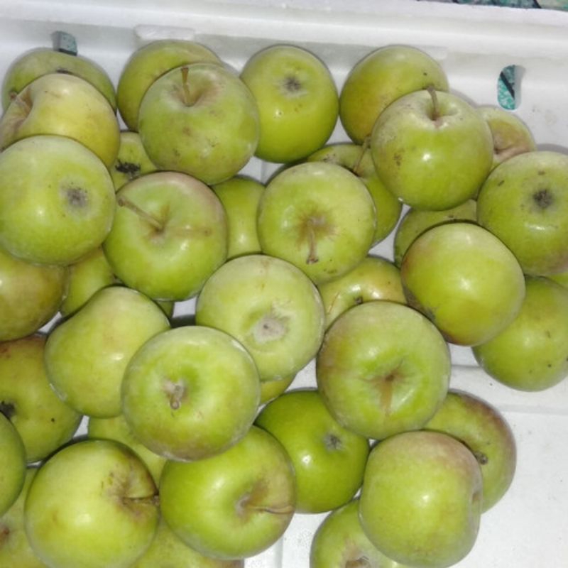 

Apel Manalagi Malang Manis fresh 1KG (REGULER & KARGO)