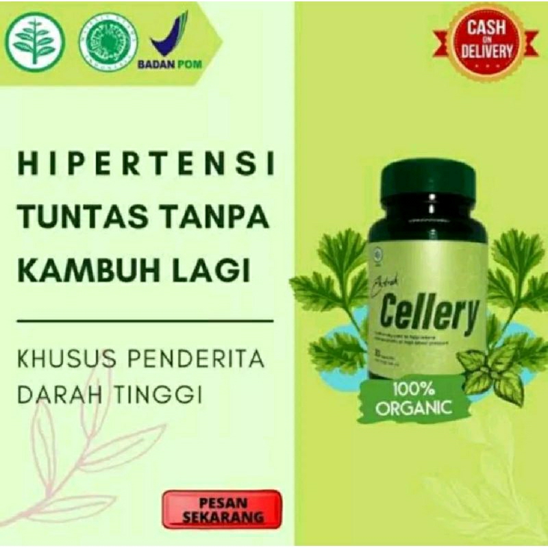 

E Cellery Asli Herbal Obat Penurun Hipertensi Obat Darah Tinggi Original Resmi BPOM