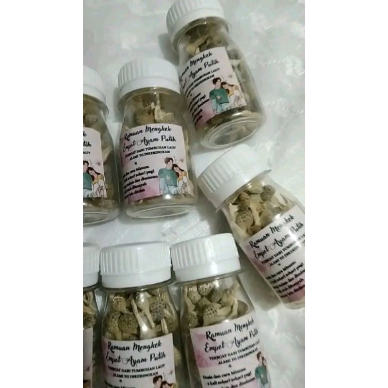 

empot ayam putih khusus wanita