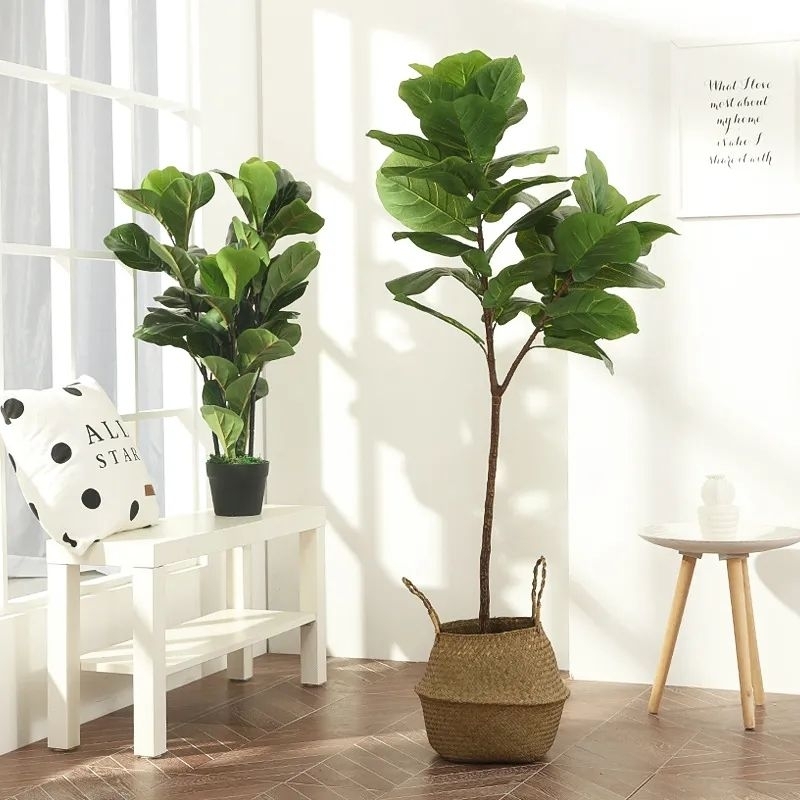 Zico Stored Pohon Ketapang Biola Besar Semi Latex Tinggi 70 Cm / Bunga Plastik [ Tanpa Pot ]