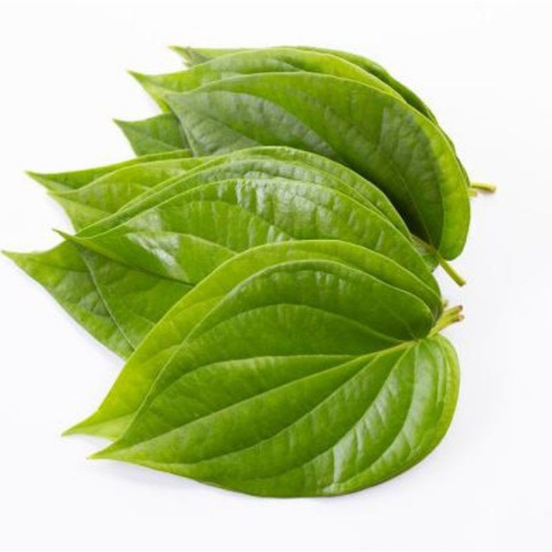 

Daun sirih organik segar 25 lembar