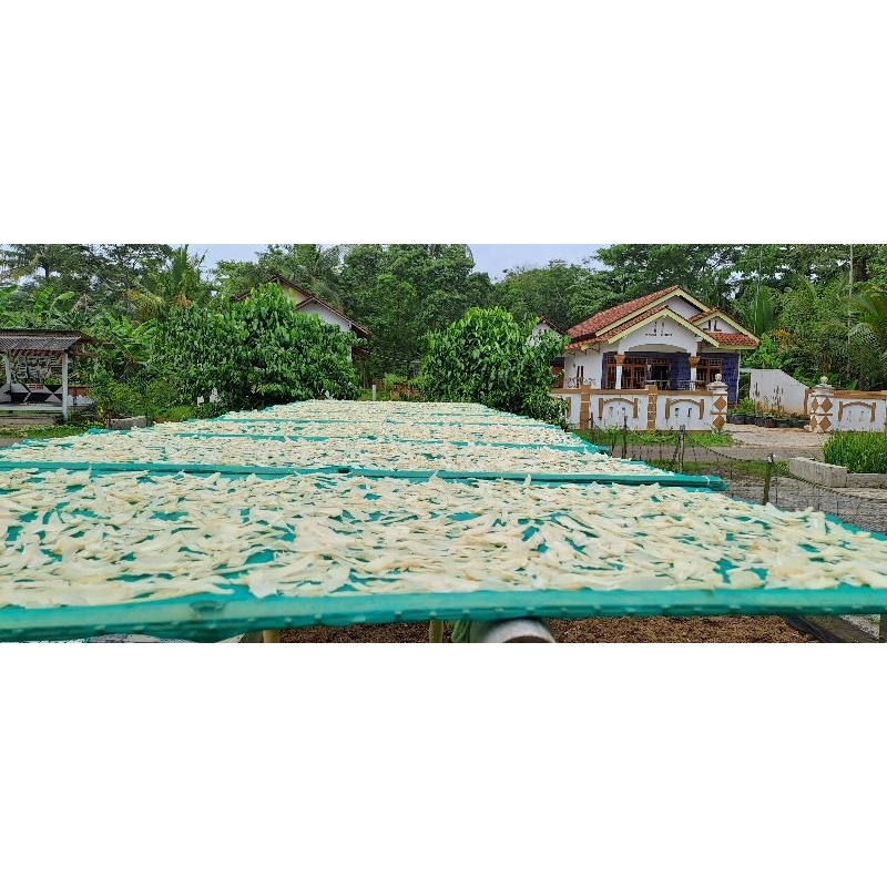 

Manggleng mentah 500 gram