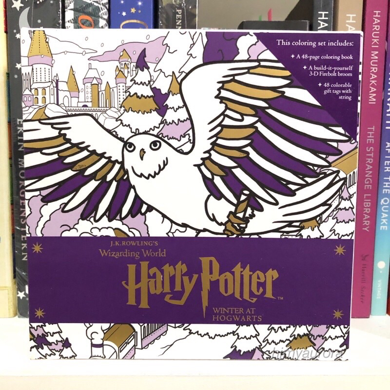 Harry Potter: Winter at Hogwarts Wizarding World