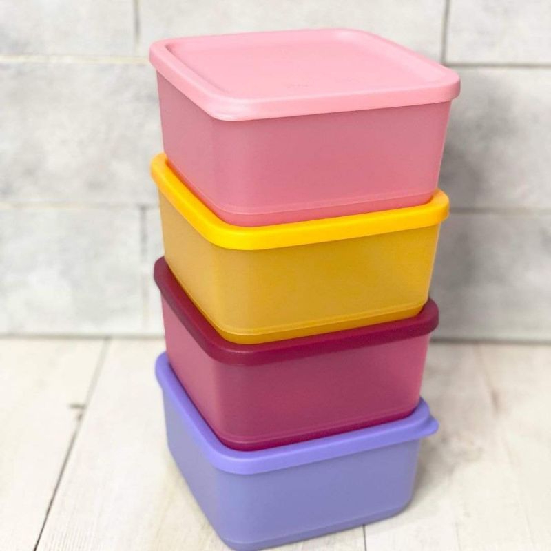 Tupperware SMALL TROPICAL FIESTA ORI Promo isi 4