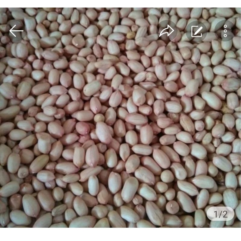 

2kilo kacang tanah