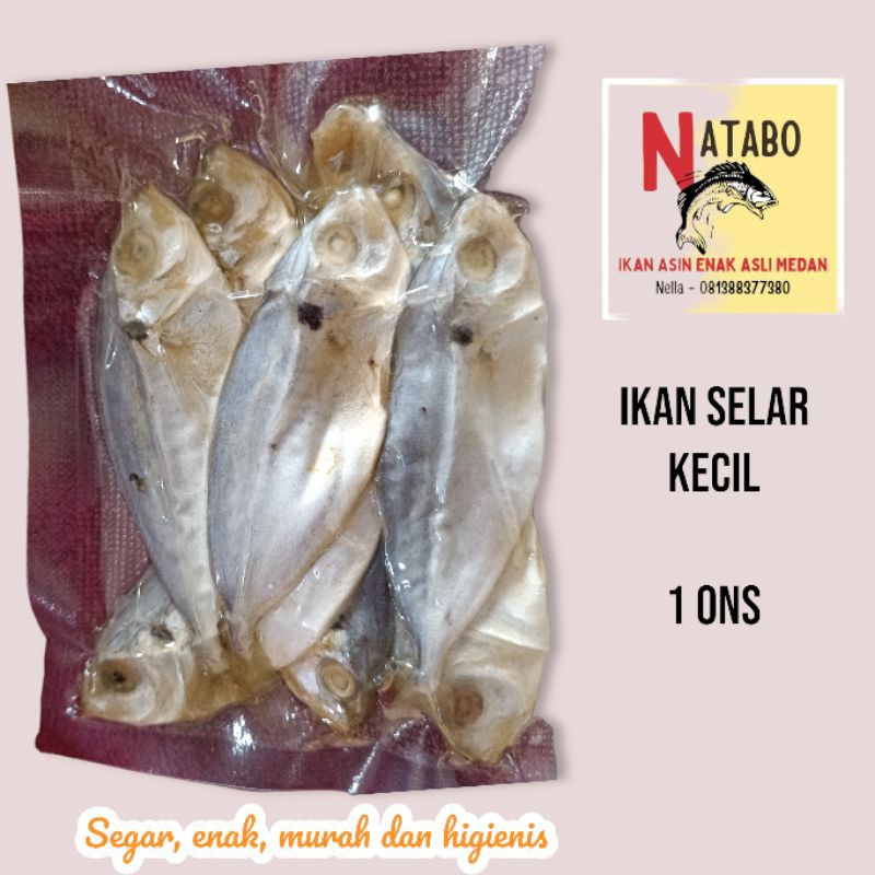 

Ikan Selar Asin 1 Ons isi 5-6