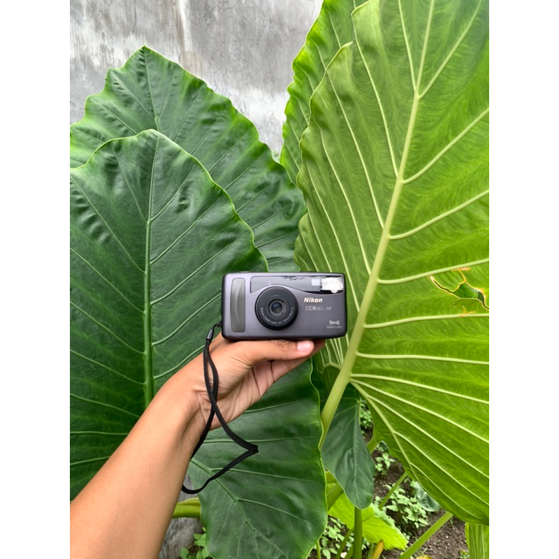 KAMERA ANALOG POCKET NIKON ZOOM 310 AF