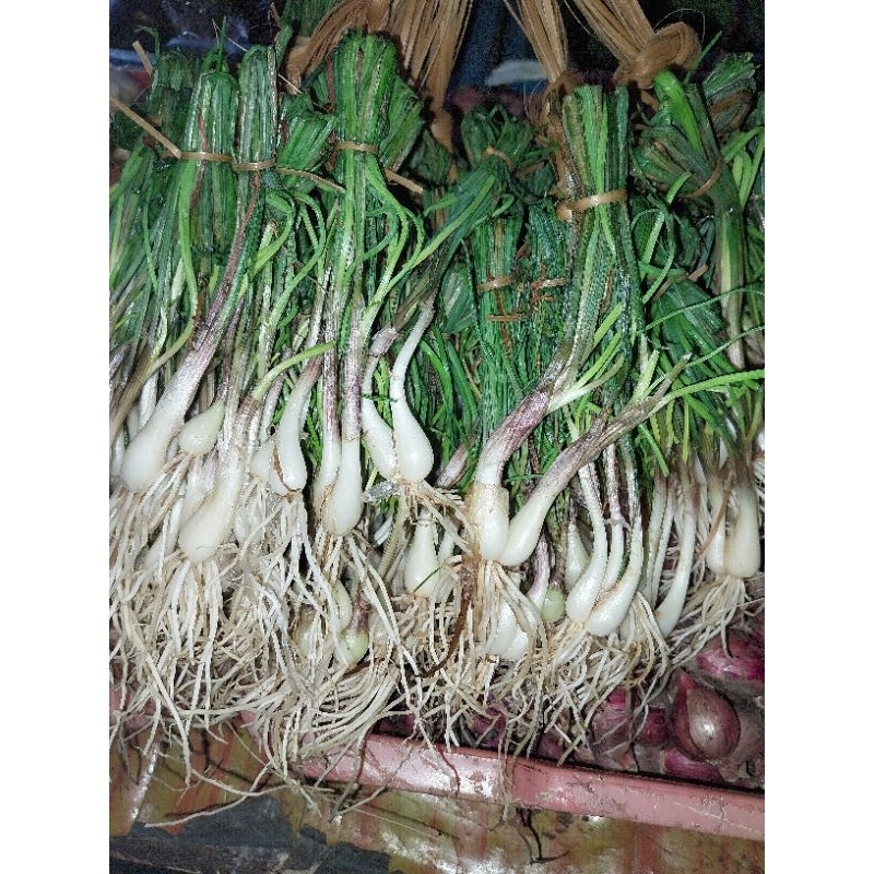 bawang langkio