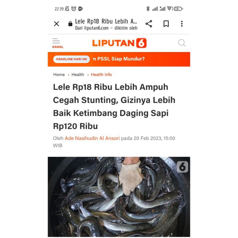 ALBEE ABON IKAN LELE MPASI 8+ NON MSG NON PENGAWET