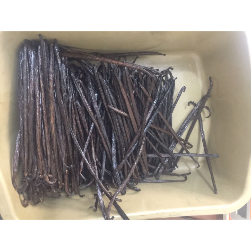 

PLANIFOLIA VANILLA GRADE EXPORT