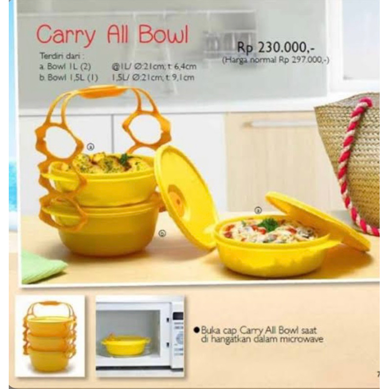 tupperware carry all bowl 3 rantang susun
