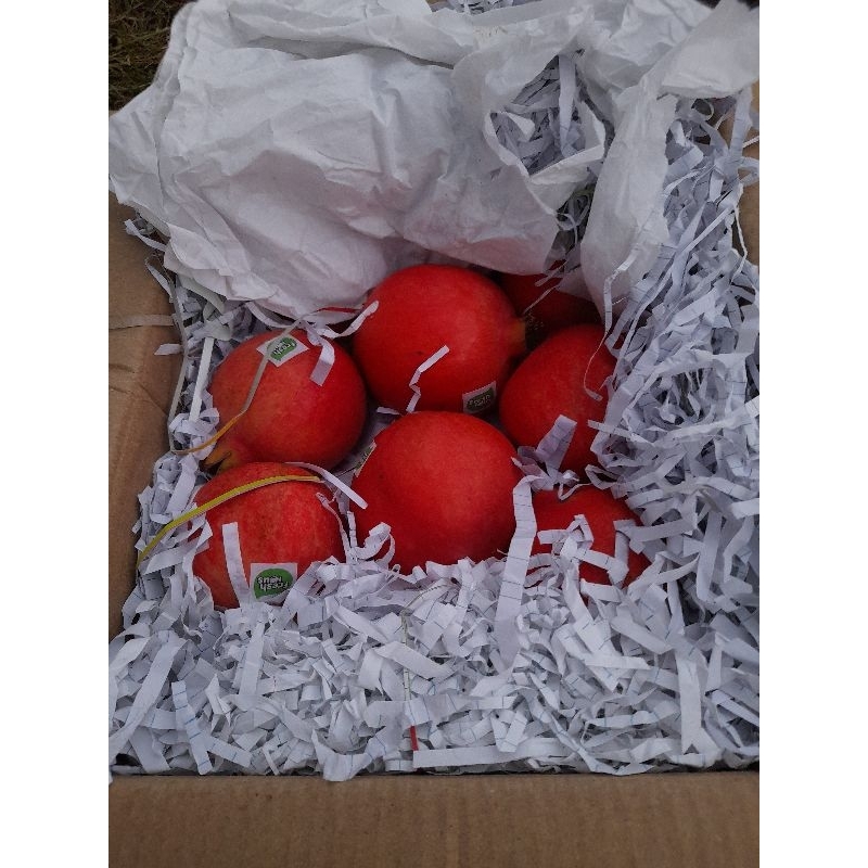 

Delima merah india