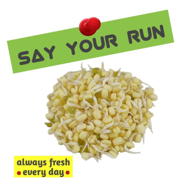 

Sayur Murah!!! Tauge/Toge Pendek