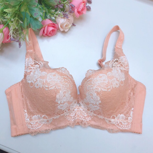 Bra (K-D69) Pakaian dalam wanita / elegan edition super soft berkawat dan busa push up